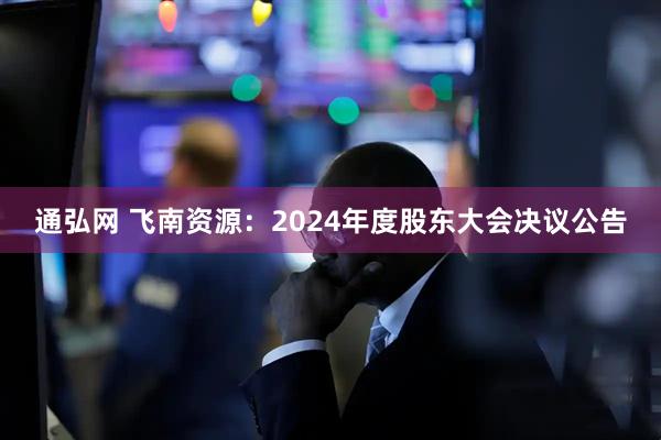通弘网 飞南资源：2024年度股东大会决议公告