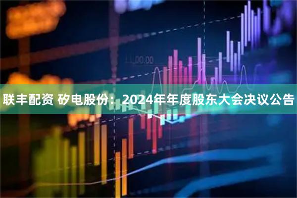 联丰配资 矽电股份：2024年年度股东大会决议公告