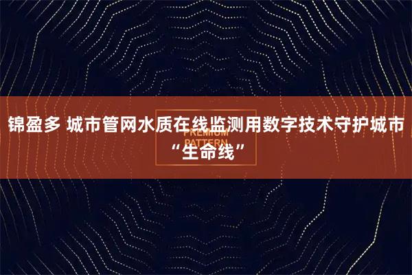 锦盈多 城市管网水质在线监测用数字技术守护城市“生命线”